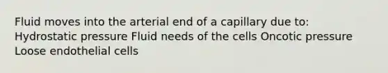 Fluid moves into the arterial end of a capillary due to: Hydrostatic pressure Fluid needs of the cells Oncotic pressure Loose endothelial cells