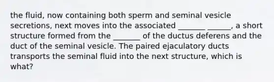 the fluid, now containing both sperm and seminal vesicle secretions, next moves into the associated _______ ______, a short structure formed from the _______ of the ductus deferens and the duct of the seminal vesicle. The paired ejaculatory ducts transports the seminal fluid into the next structure, which is what?