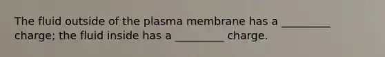 The fluid outside of the plasma membrane has a _________ charge; the fluid inside has a _________ charge.