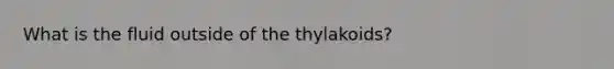 What is the fluid outside of the thylakoids?