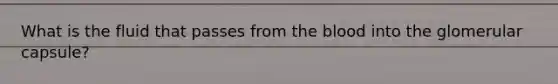 What is the fluid that passes from the blood into the glomerular capsule?
