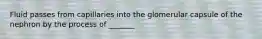 Fluid passes from capillaries into the glomerular capsule of the nephron by the process of _______