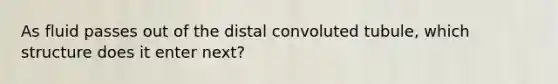 As fluid passes out of the distal convoluted tubule, which structure does it enter next?