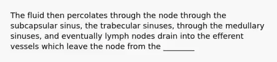 The fluid then percolates through the node through the subcapsular sinus, the trabecular sinuses, through the medullary sinuses, and eventually lymph nodes drain into the efferent vessels which leave the node from the ________