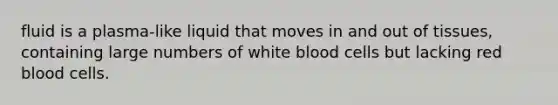 fluid is a plasma-like liquid that moves in and out of tissues, containing large numbers of white blood cells but lacking red blood cells.