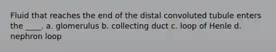 Fluid that reaches the end of the distal convoluted tubule enters the ____. a. glomerulus b. collecting duct c. loop of Henle d. nephron loop