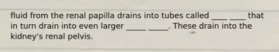 fluid from the renal papilla drains into tubes called ____ ____ that in turn drain into even larger _____ _____. These drain into the kidney's renal pelvis.