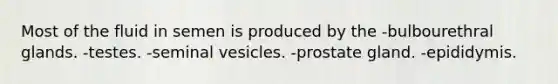 Most of the fluid in semen is produced by the -bulbourethral glands. -testes. -seminal vesicles. -prostate gland. -epididymis.