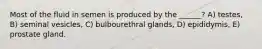 Most of the fluid in semen is produced by the ______? A) testes, B) seminal vesicles, C) bulbourethral glands, D) epididymis, E) prostate gland.