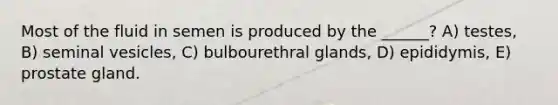 Most of the fluid in semen is produced by the ______? A) testes, B) seminal vesicles, C) bulbourethral glands, D) epididymis, E) prostate gland.