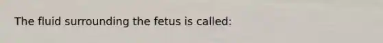 The fluid surrounding the fetus is called: