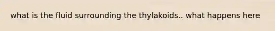 what is the fluid surrounding the thylakoids.. what happens here