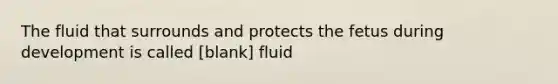 The fluid that surrounds and protects the fetus during development is called [blank] fluid