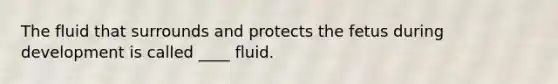 The fluid that surrounds and protects the fetus during development is called ____ fluid.