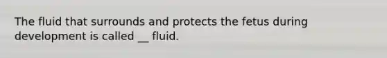 The fluid that surrounds and protects the fetus during development is called __ fluid.