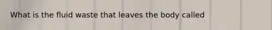 What is the fluid waste that leaves the body called