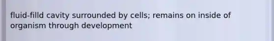 fluid-filld cavity surrounded by cells; remains on inside of organism through development