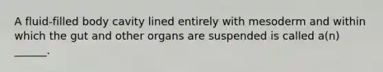 A fluid-filled body cavity lined entirely with mesoderm and within which the gut and other organs are suspended is called a(n) ______.