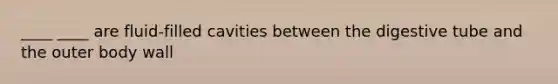 ____ ____ are fluid-filled cavities between the digestive tube and the outer body wall