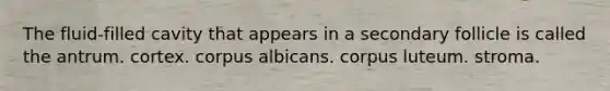 The fluid-filled cavity that appears in a secondary follicle is called the antrum. cortex. corpus albicans. corpus luteum. stroma.