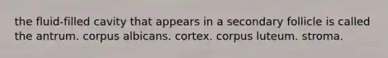 the fluid-filled cavity that appears in a secondary follicle is called the antrum. corpus albicans. cortex. corpus luteum. stroma.