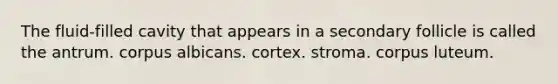 The fluid-filled cavity that appears in a secondary follicle is called the antrum. corpus albicans. cortex. stroma. corpus luteum.