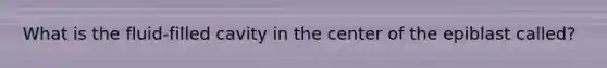 What is the fluid-filled cavity in the center of the epiblast called?