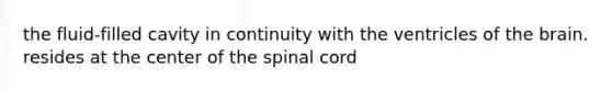 the fluid-filled cavity in continuity with the ventricles of <a href='https://www.questionai.com/knowledge/kLMtJeqKp6-the-brain' class='anchor-knowledge'>the brain</a>. resides at the center of <a href='https://www.questionai.com/knowledge/kkAfzcJHuZ-the-spinal-cord' class='anchor-knowledge'>the spinal cord</a>