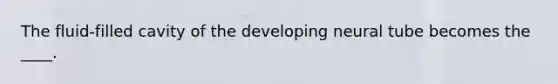 The fluid-filled cavity of the developing neural tube becomes the ____.