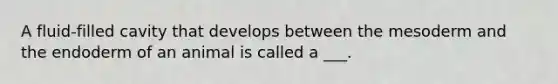 A fluid-filled cavity that develops between the mesoderm and the endoderm of an animal is called a ___.