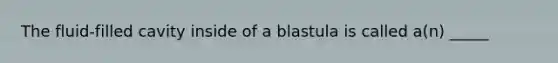 The fluid-filled cavity inside of a blastula is called a(n) _____