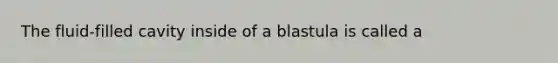 The fluid-filled cavity inside of a blastula is called a