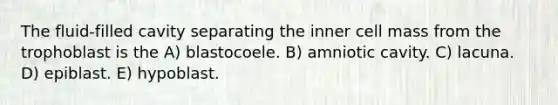 The fluid-filled cavity separating the inner cell mass from the trophoblast is the A) blastocoele. B) amniotic cavity. C) lacuna. D) epiblast. E) hypoblast.