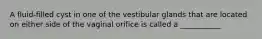 A fluid-filled cyst in one of the vestibular glands that are located on either side of the vaginal orifice is called a ___________