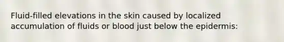 Fluid-filled elevations in the skin caused by localized accumulation of fluids or blood just below the epidermis: