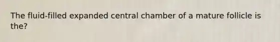 The fluid-filled expanded central chamber of a mature follicle is the?