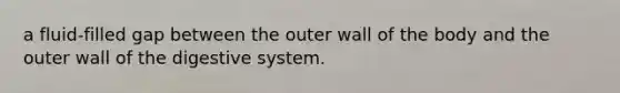 a fluid-filled gap between the outer wall of the body and the outer wall of the digestive system.