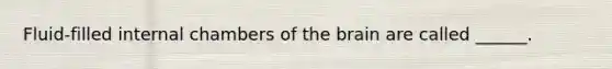 Fluid-filled internal chambers of the brain are called ______.