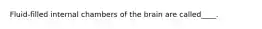 Fluid-filled internal chambers of the brain are called____.