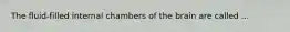 The fluid-filled internal chambers of the brain are called ...