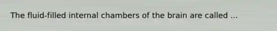 The fluid-filled internal chambers of the brain are called ...