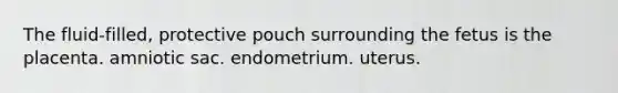 The fluid-filled, protective pouch surrounding the fetus is the placenta. amniotic sac. endometrium. uterus.