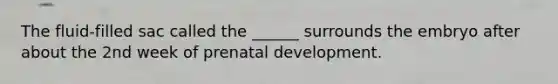 The fluid-filled sac called the ______ surrounds the embryo after about the 2nd week of prenatal development.