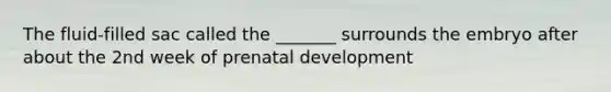 The fluid-filled sac called the _______ surrounds the embryo after about the 2nd week of prenatal development