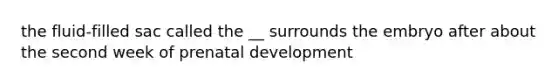 the fluid-filled sac called the __ surrounds the embryo after about the second week of prenatal development