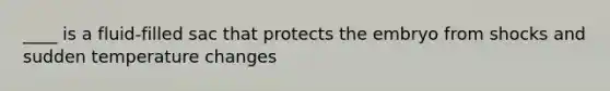 ____ is a fluid-filled sac that protects the embryo from shocks and sudden temperature changes