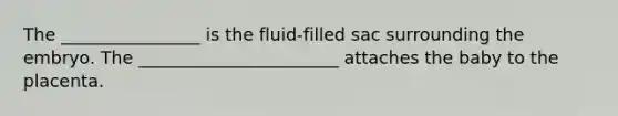 The ________________ is the fluid-filled sac surrounding the embryo. The _______________________ attaches the baby to the placenta.