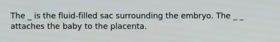 The _ is the fluid-filled sac surrounding the embryo. The _ _ attaches the baby to the placenta.