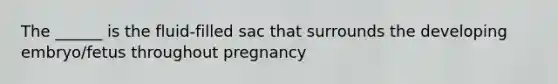 The ______ is the fluid-filled sac that surrounds the developing embryo/fetus throughout pregnancy