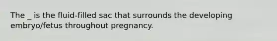 The _ is the fluid-filled sac that surrounds the developing embryo/fetus throughout pregnancy.